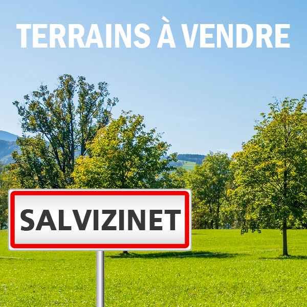 Salvizinet  - Le Sanzigneu 2